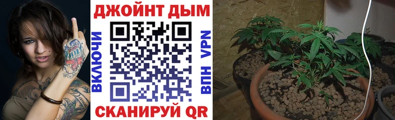 Канабис конопля Сорочинск